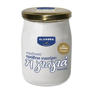 H GIAGIA 150G GIAOURTI 100% PROVEIO