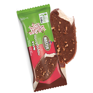 STICK MASTER ION ALMOND STEVIA 80GR