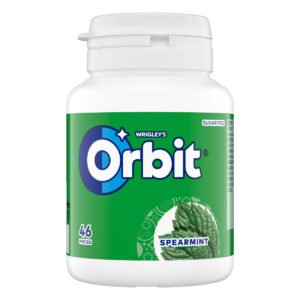 Orbit Chewing Gum Mint Sugar Free 46
