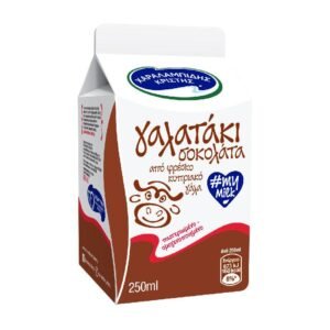 GALATAKI CHOCOLATE 250ML
